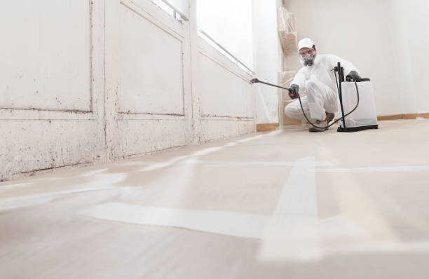 24/7 Emergency Attic Mold Removal experts in Lemont, PA